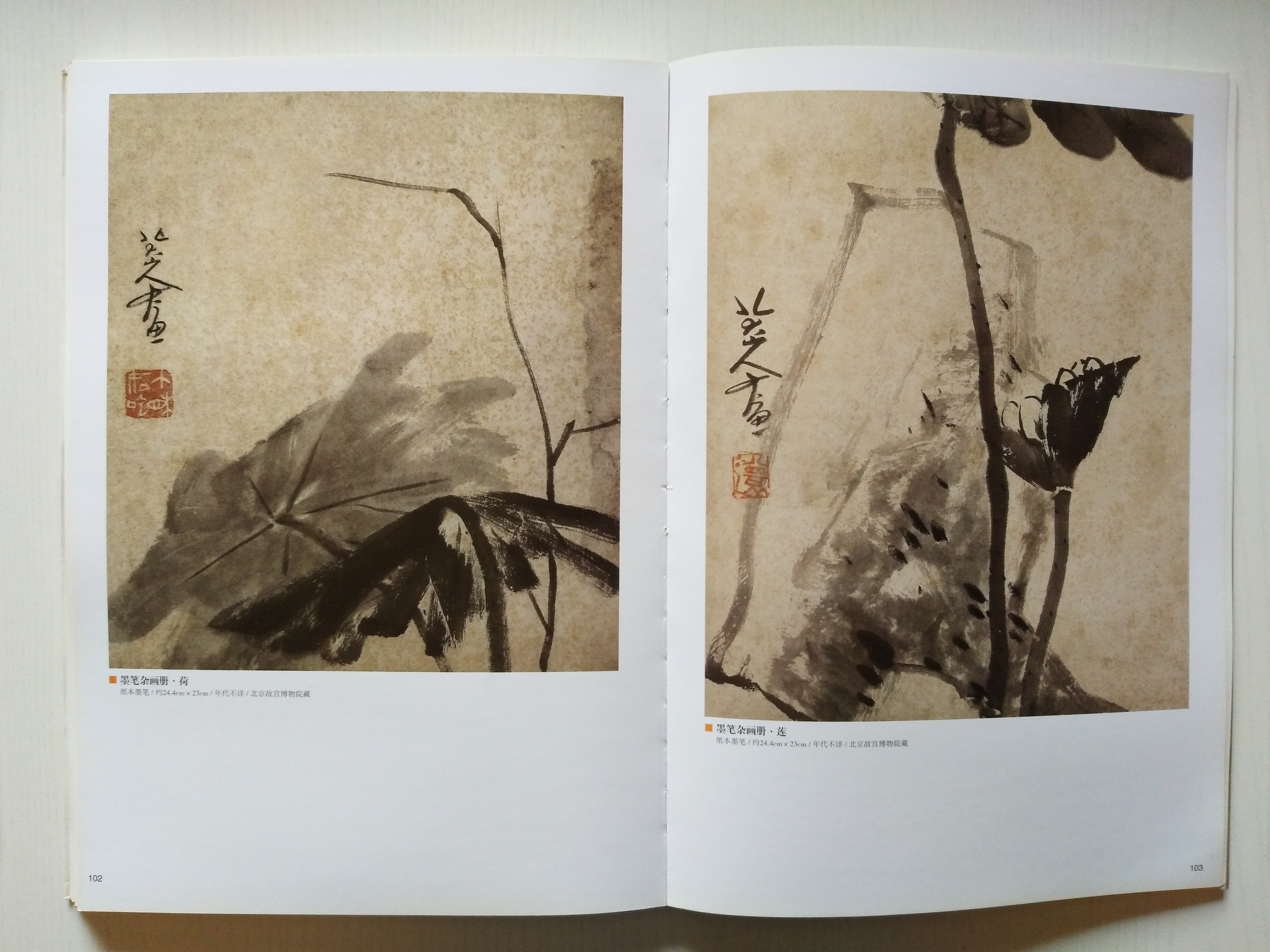 劉純:仰視清代中國(guó)寫意花鳥畫之巔峰者